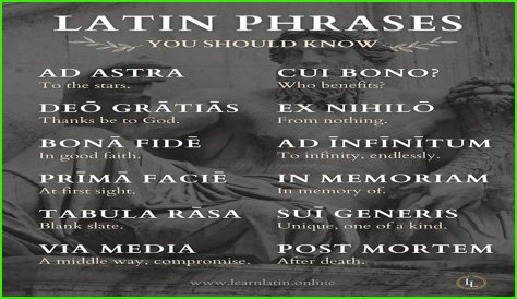 A Profile Of A Latin Beauty