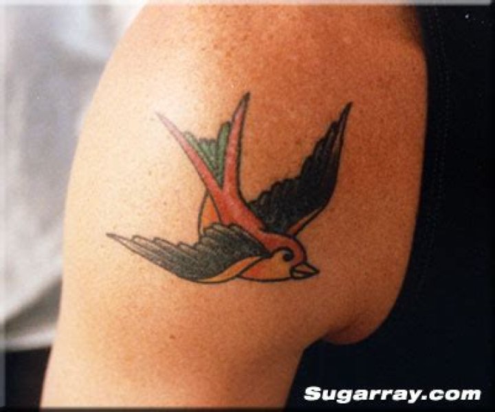 12 Celebrity Flock of Birds Tattoos