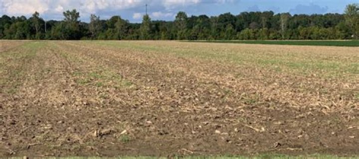 Calcium and Magnesium in Mississippi Crop Production