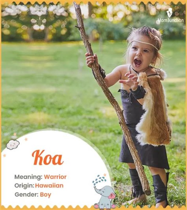 Koa Meaning in English, Koa Baby Name Origin Gender Meaning Pronunciation