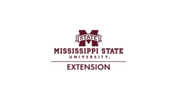 Ms. Debra L. Price | Mississippi State University Extension Service