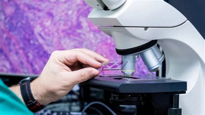 Pros y contras de mantener o depilar el vello púbico