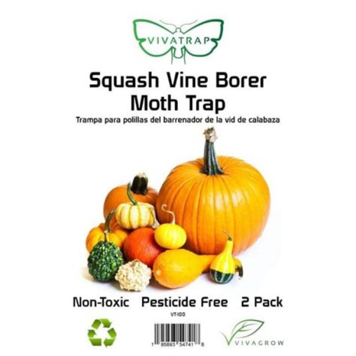 Squash Vine Borer, Vol. 6, No. 10
