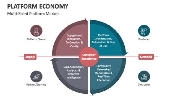 What is the Platform Economy?